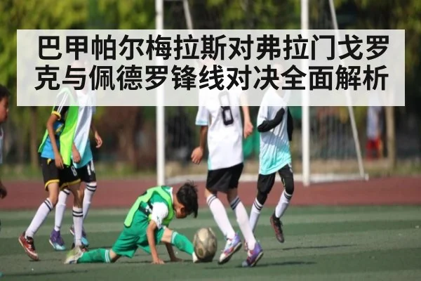 巴甲帕尔梅拉斯对弗拉门戈罗克与佩德罗锋线对决全面解析